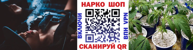 Сколько стоит Дно Каннабис COCAIN АМФ Гашиш