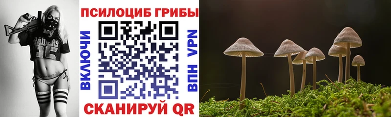 купить наркотик  Дно  Галлюциногенные грибы MAGIC MUSHROOMS 